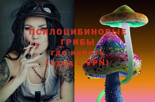 гидра Зерноград