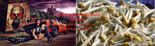 не бодяженный Зеленокумск