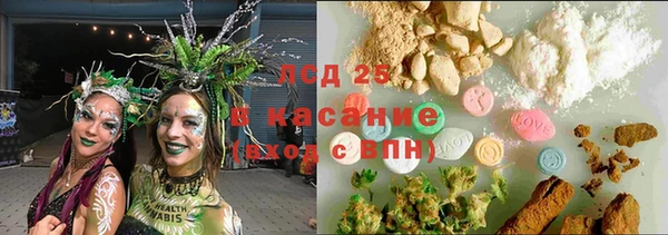 гидра Зерноград
