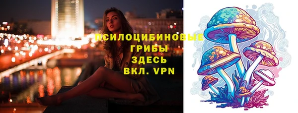 метадон Заводоуковск